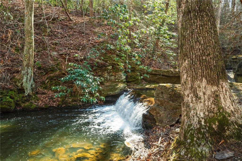 261 Falcon Heights Lane Big Canoe, GA 30143 - Photo 43 of 51