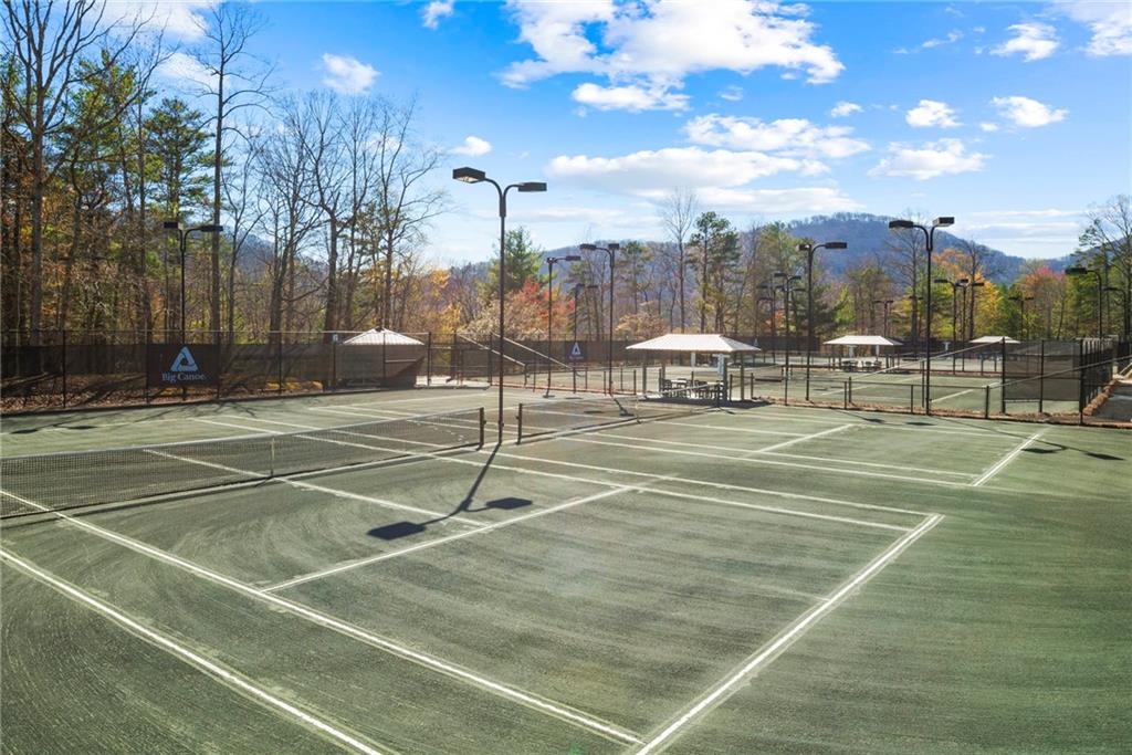 261 Falcon Heights Lane Big Canoe, GA 30143 - Photo 47 of 51