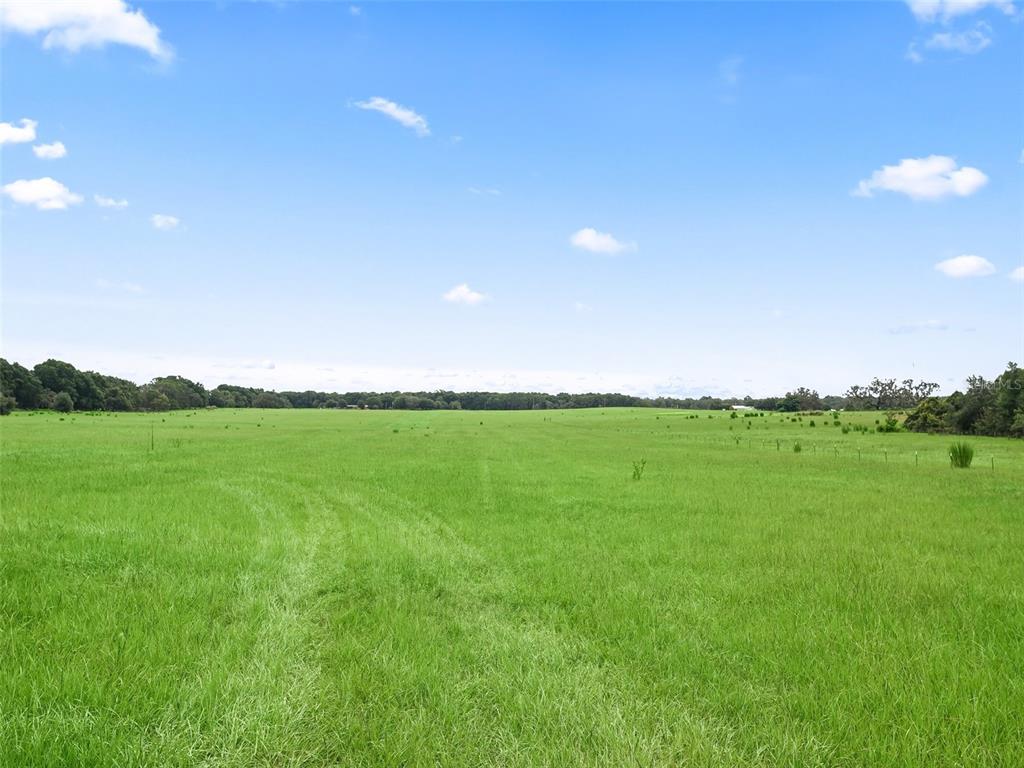 8567 Cr 635 Bushnell Bushnell, FL 33513 - Photo 34 of 46 a view of field with grass