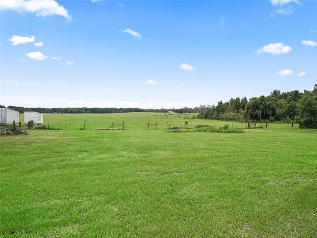 a view of grassy field with trees