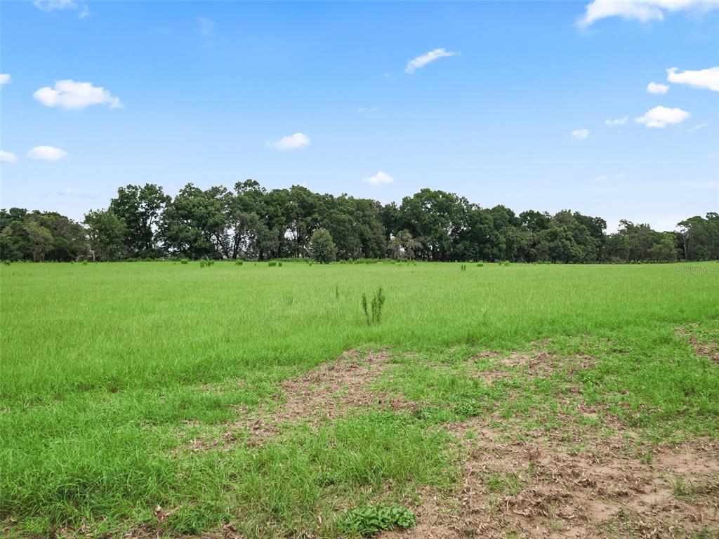 8567 Cr 635 Bushnell Bushnell, FL 33513 - Photo 39 of 46 a view of grassy field with trees