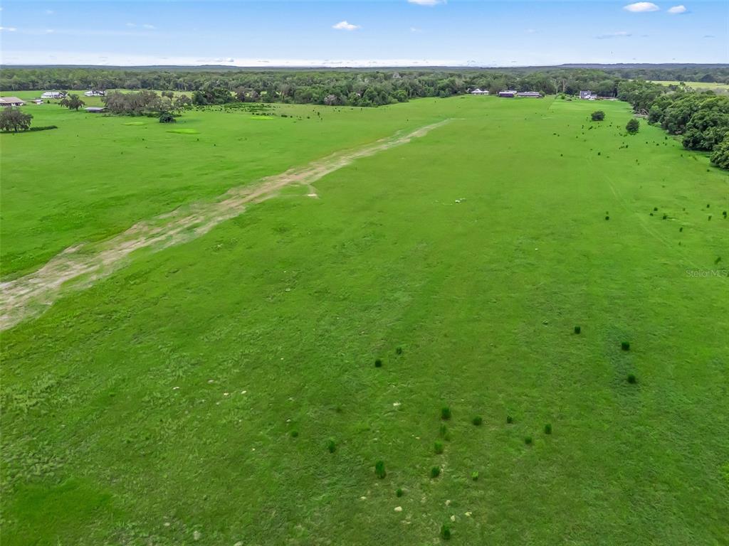8567 Cr 635 Bushnell Bushnell, FL 33513 - Photo 41 of 46 a view of a lush green field