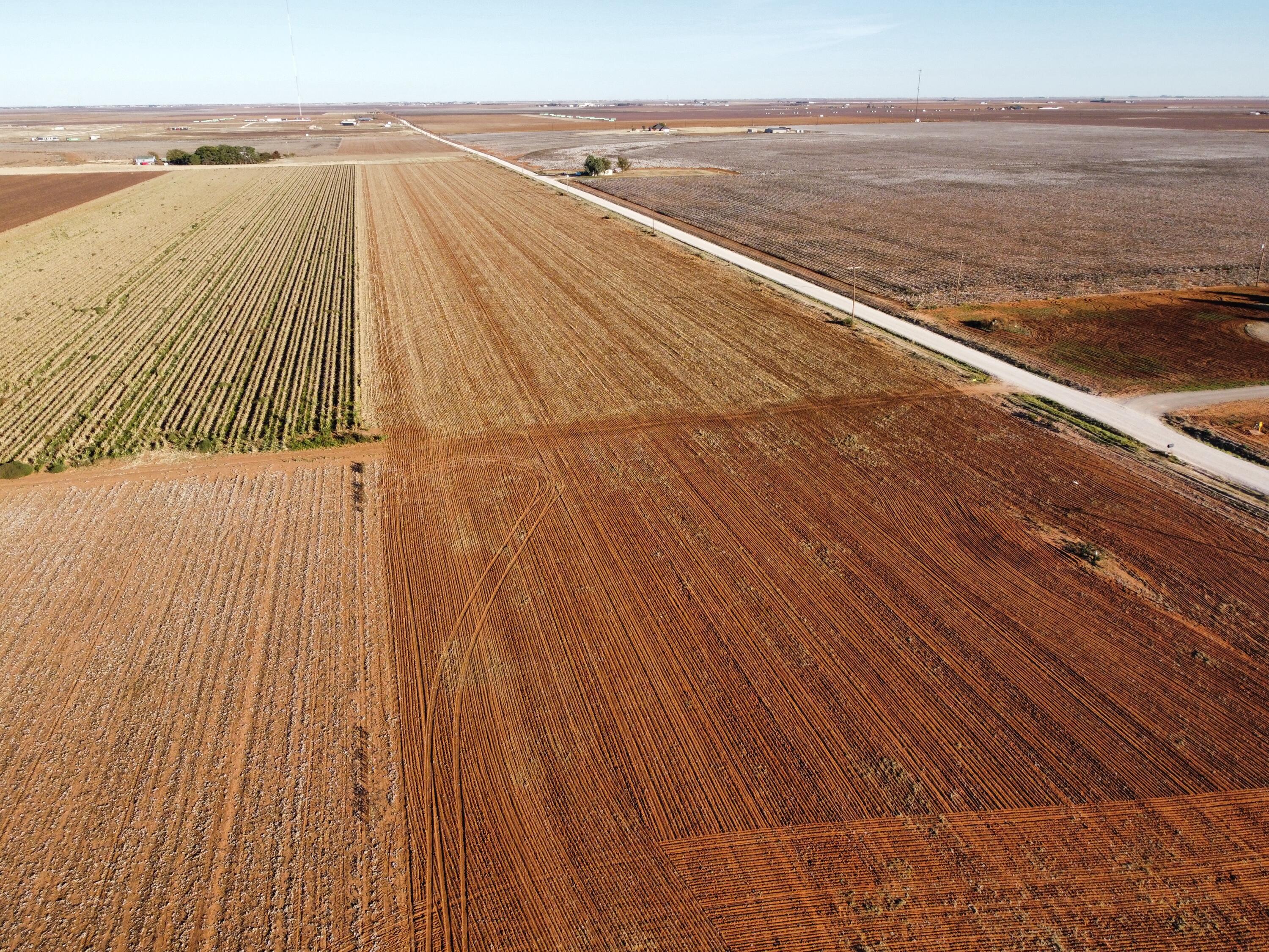 6659 Tiger Road Ropesville, TX 79358 - Photo 2 of 5 a view of wooden floor