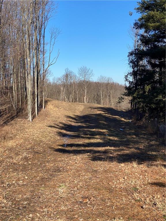 0 Mounts Road Claysville, PA 15323 - Photo 1 of 1