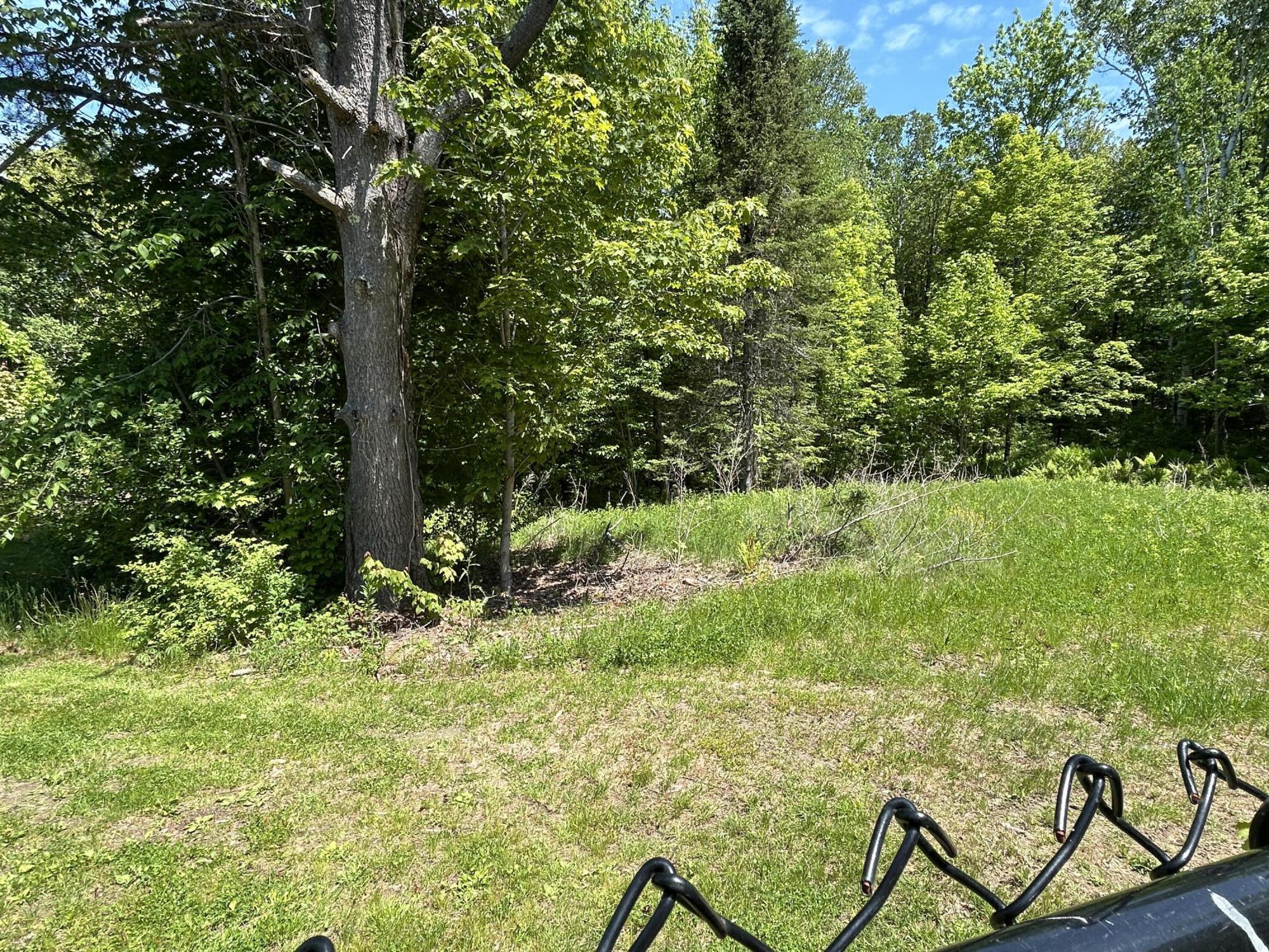125 Benson Road West Gardiner, ME 04345 - Photo 33 of 41 Back woods