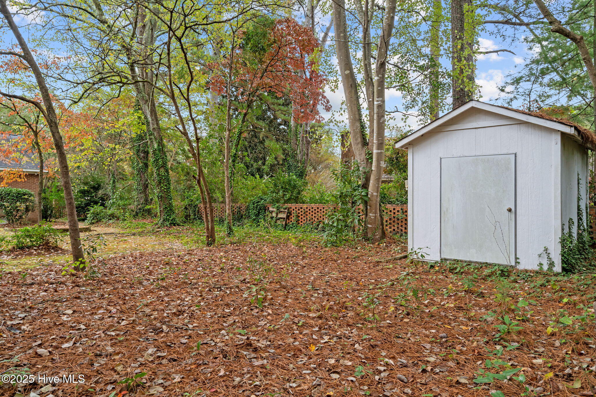 503 Scotland Avenue Rockingham, NC 28379 - Photo 42 of 53 16-web-or-mls-DSC06051