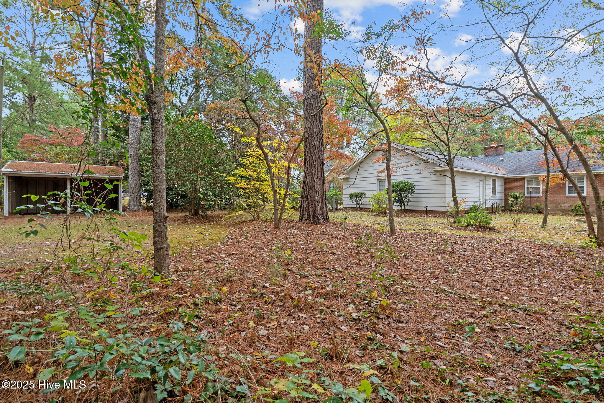 503 Scotland Avenue Rockingham, NC 28379 - Photo 43 of 53 17-web-or-mls-DSC06052