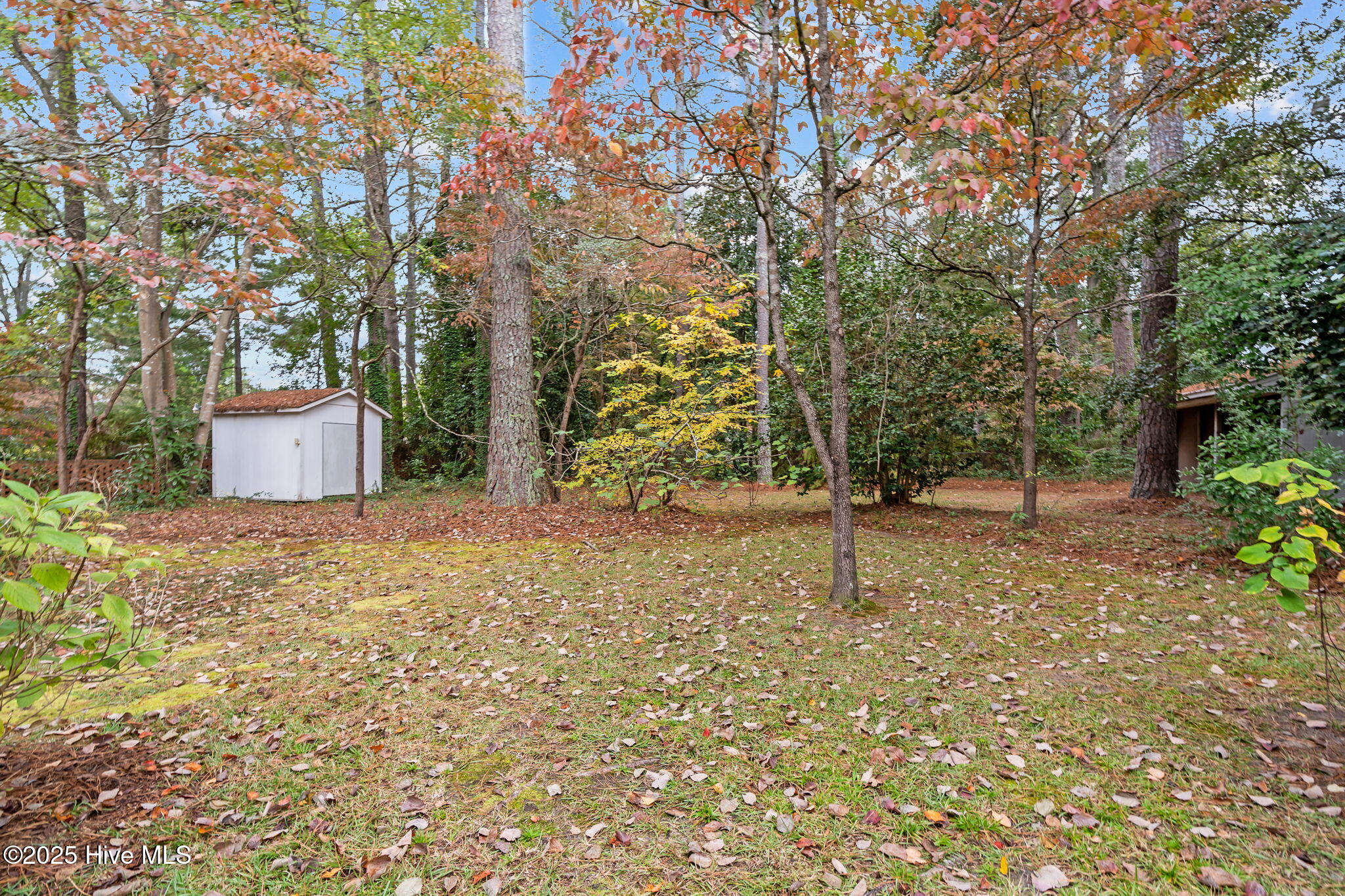 503 Scotland Avenue Rockingham, NC 28379 - Photo 47 of 53 21-web-or-mls-DSC06056