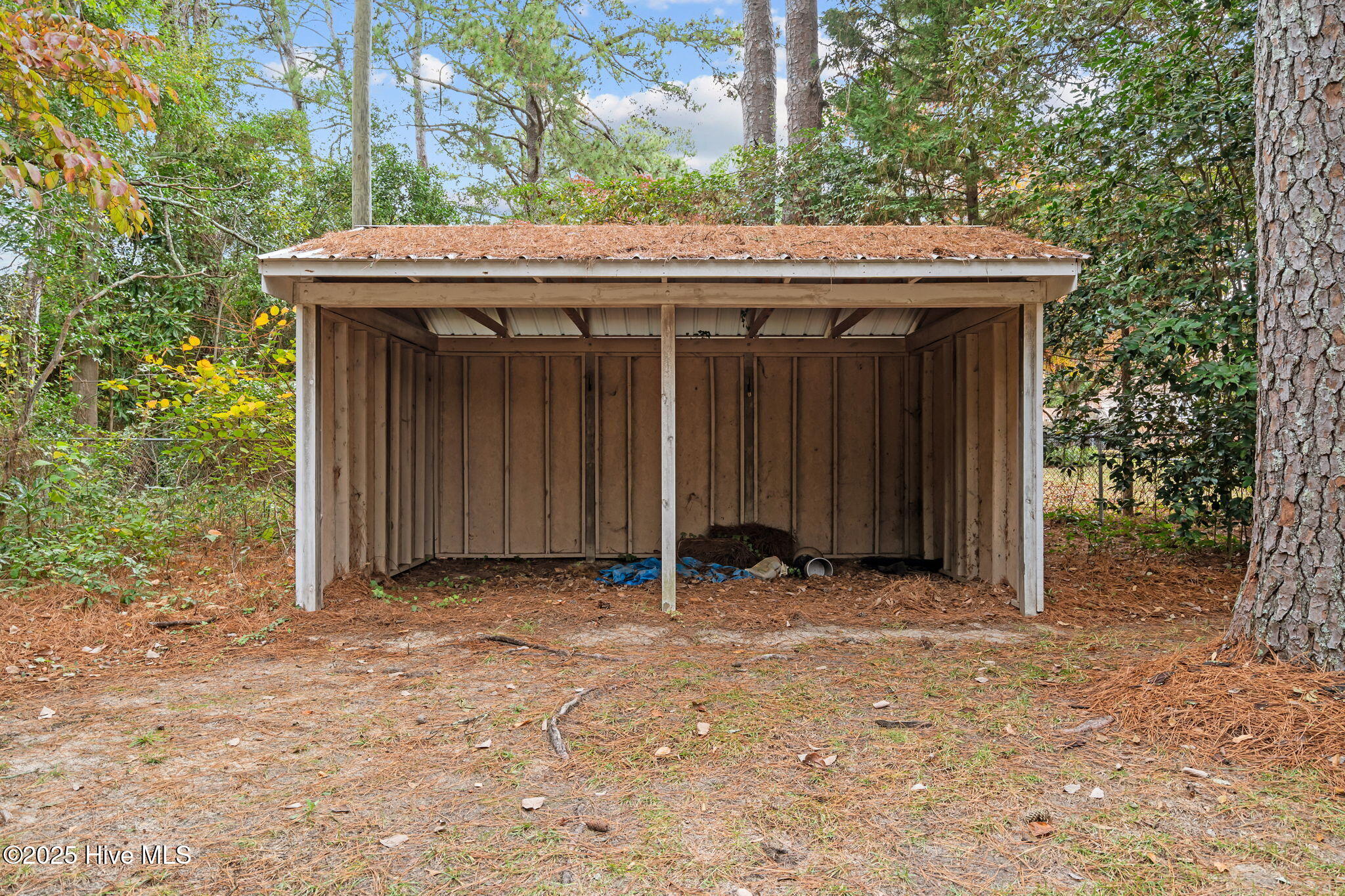 503 Scotland Avenue Rockingham, NC 28379 - Photo 50 of 53 15-web-or-mls-DSC06050