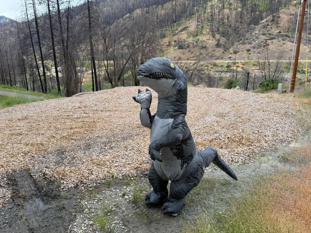 $60,000 | 1017 Roxbury Drive, Scott Bar, CA 96085