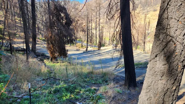 $60,000 | 1017 Roxbury Drive, Scott Bar, CA 96085