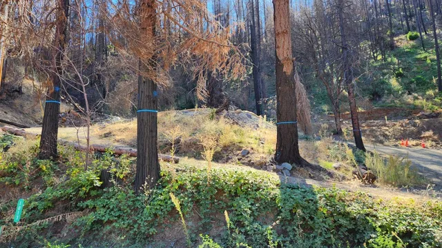 $60,000 | 1017 Roxbury Drive, Scott Bar, CA 96085