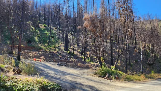 $60,000 | 1017 Roxbury Drive, Scott Bar, CA 96085