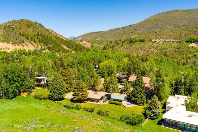 a view of a lush green field with mountains in the background