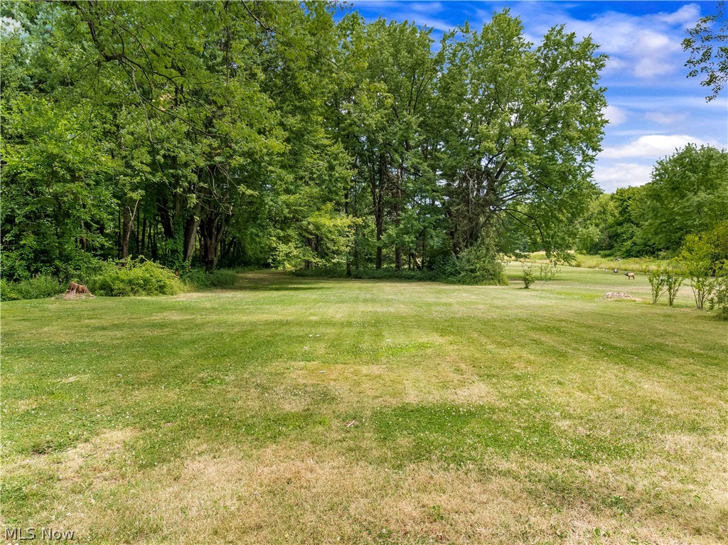 15756 Valley View Road Doylestown, OH 44230 - Photo 25 of 34 Gallery Image 25