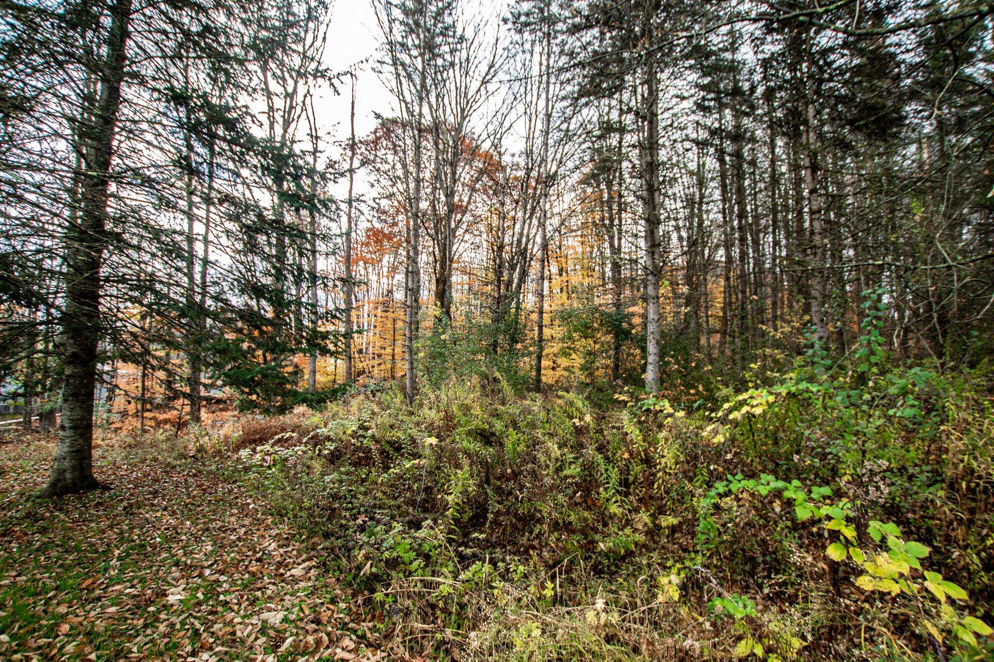 149 Williston Woods Road Williston, VT 05495 - Photo 14 of 27 Gallery Image 14