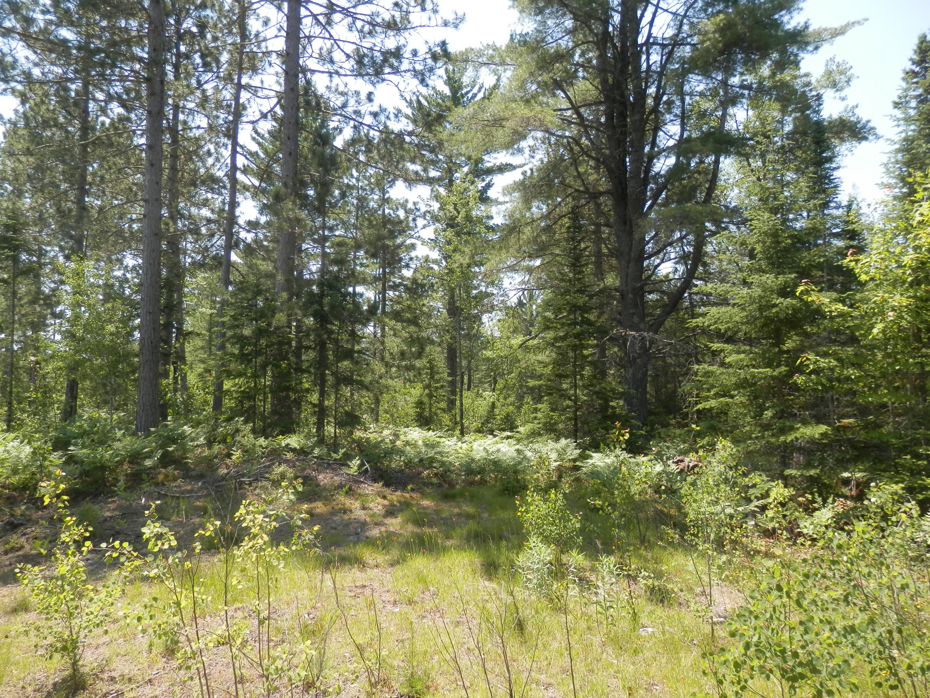 5253 River Road Gulliver, MI 49840 - Photo 10 of 13 Gallery Image 10