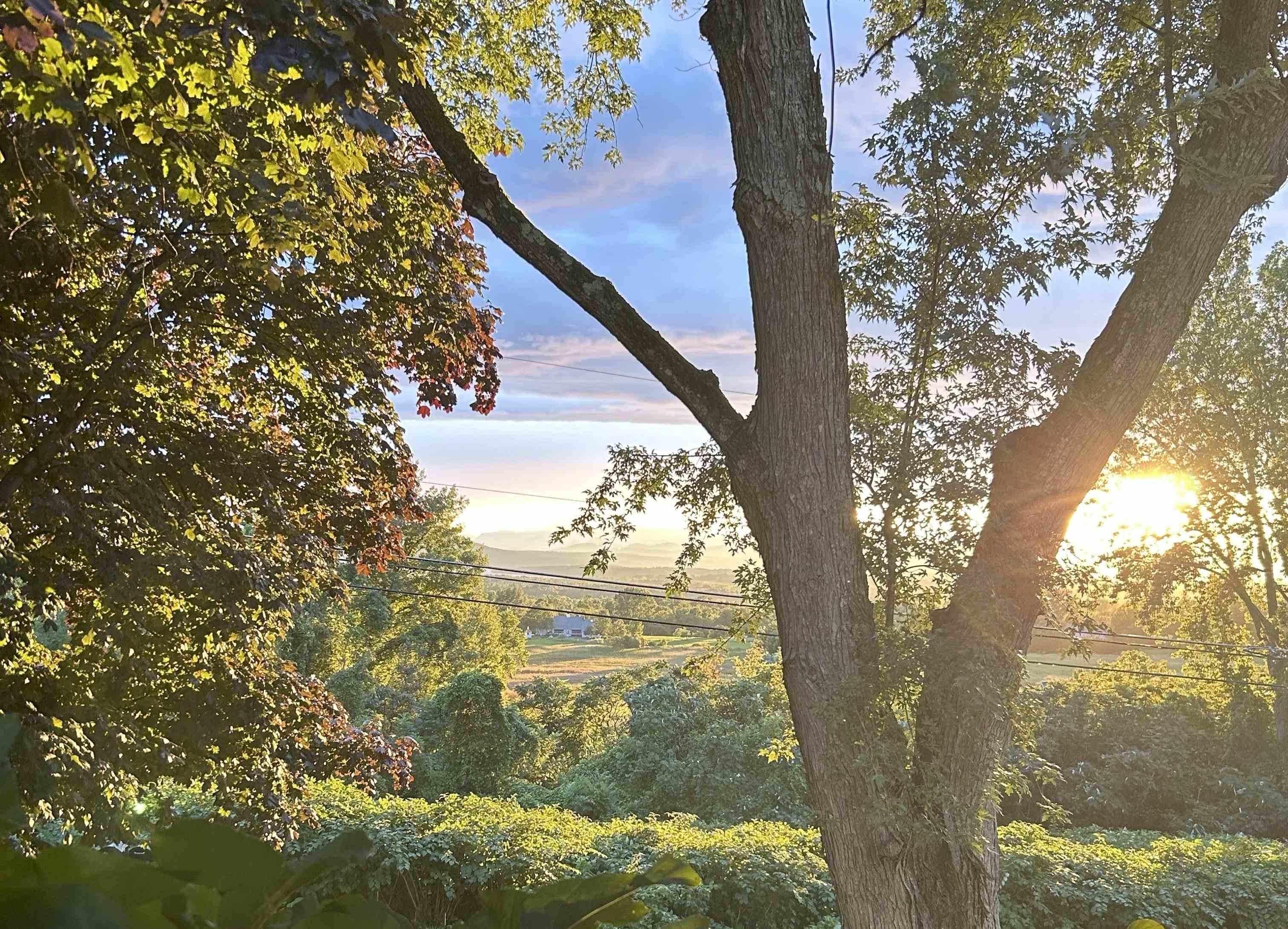 27 Inn Road, Unit 3 Charlotte, VT 05445 - Photo 10 of 18