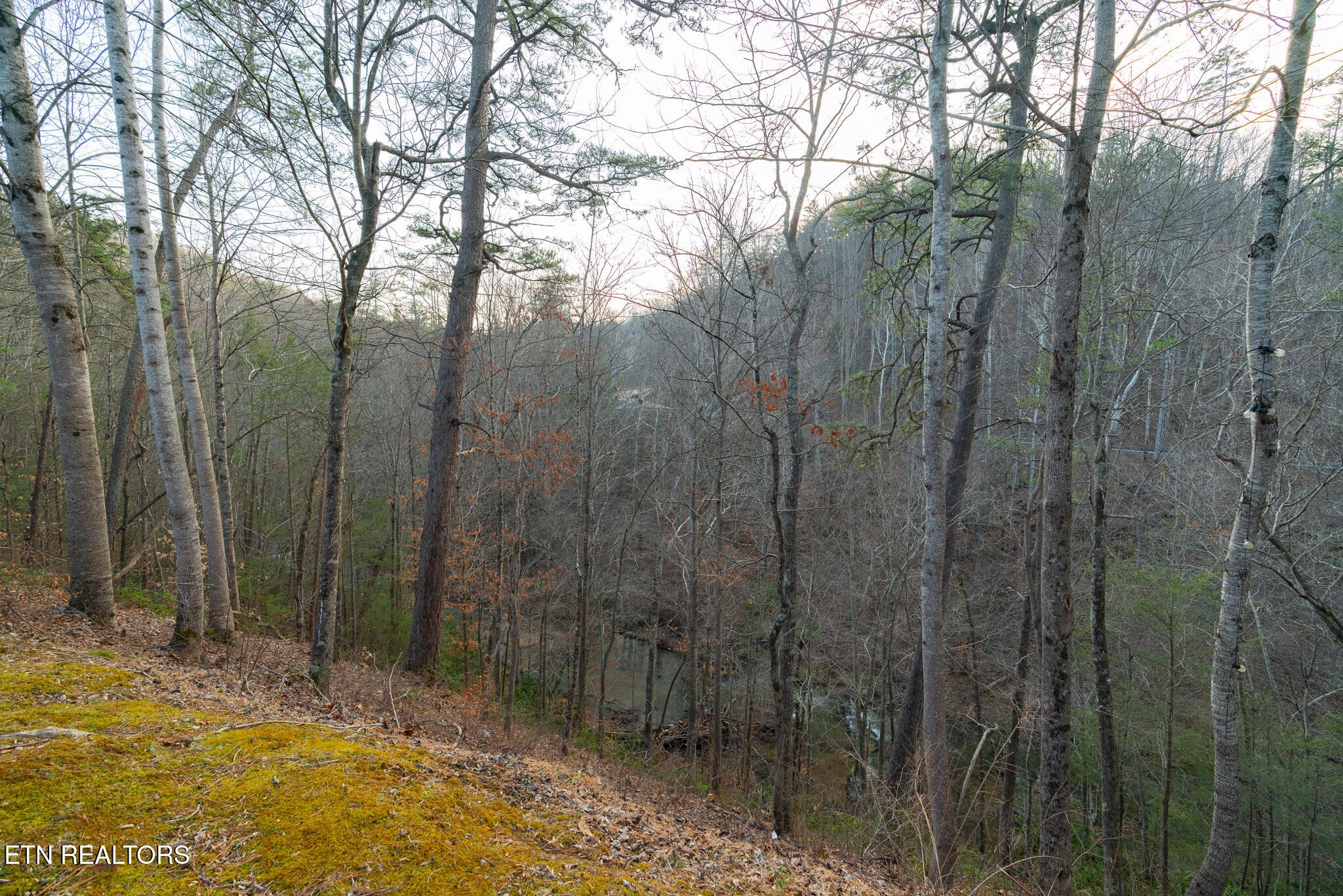3318 Covered Bridge Way Sevierville, TN 37862 - Photo 44 of 49