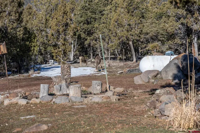 $649,000 | 20931 Brimstone Road, Cedaredge, CO 81413