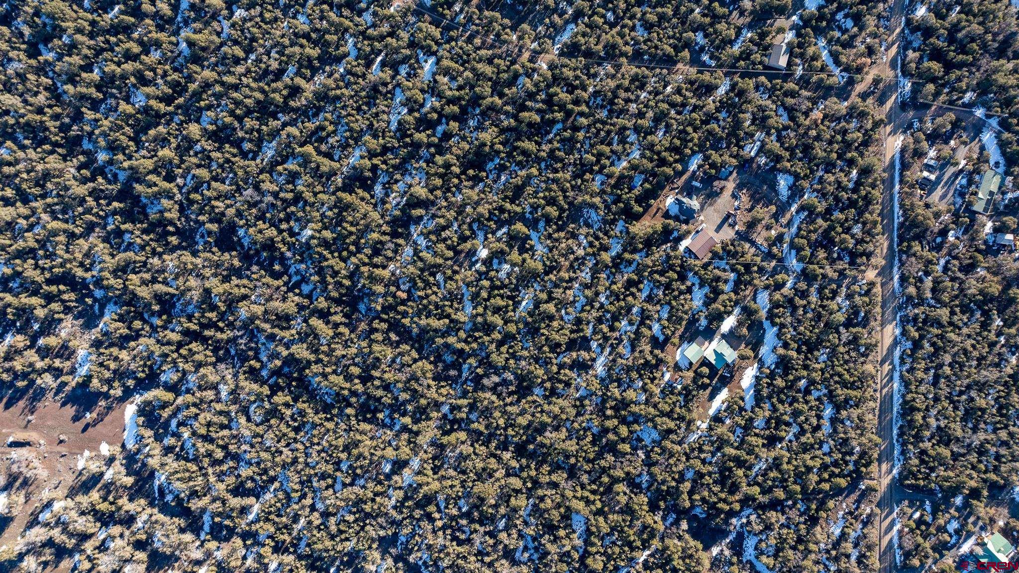 20931 Brimstone Road Cedaredge, CO 81413 - Photo 26 of 27