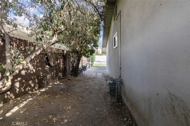 a view of a yard with plants and trees