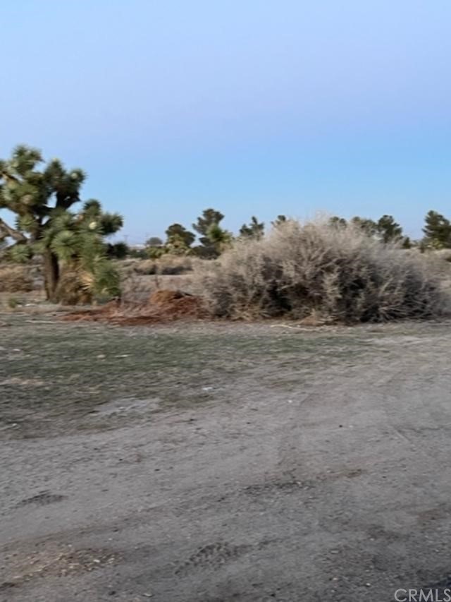 10200 Johnson Road, Unit 44 Phelan, CA 92371 - Photo 28 of 29 a view of a field with trees in background