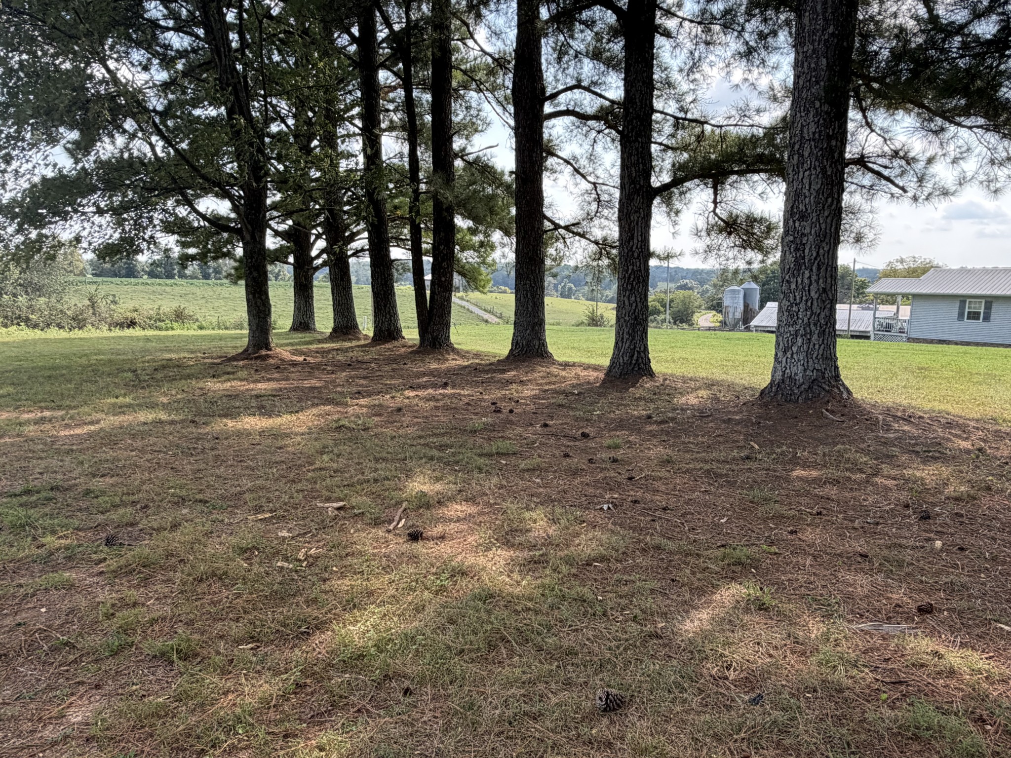 895 Harve Brown Road Bethpage, TN 37022 - Photo 20 of 26 Gallery Image 20