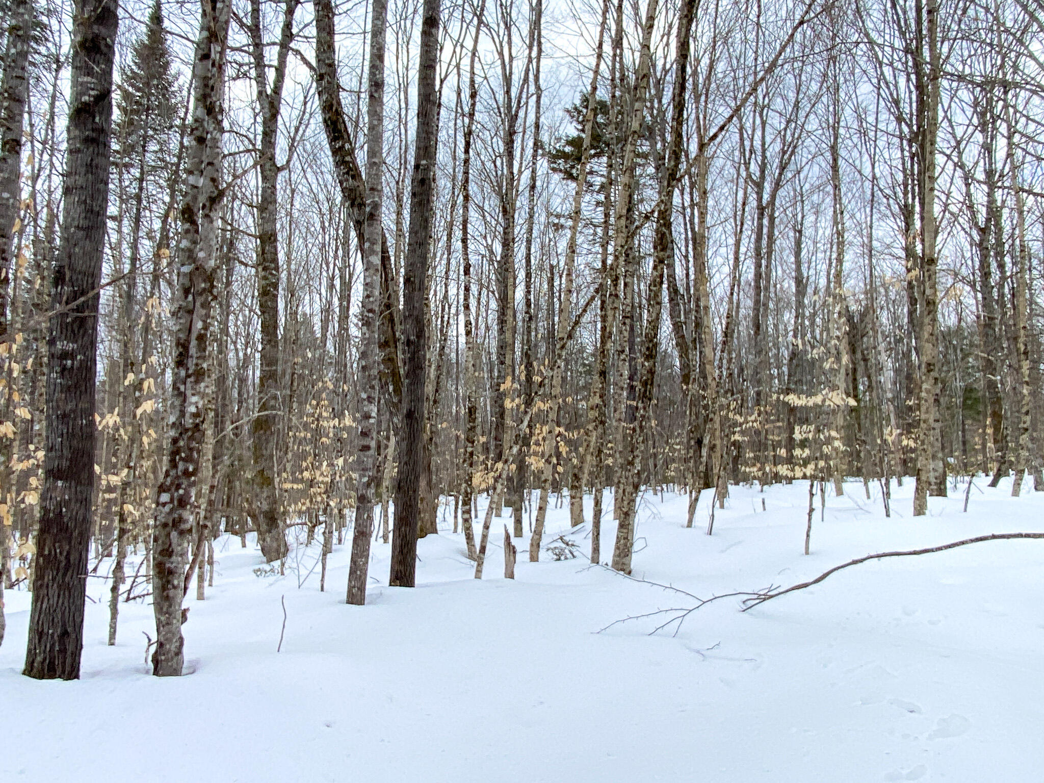 M2-l27-20 Smith Road Brownville, ME 04414 - Photo 21 of 27 Photo Mar 10 2023, 10 57 18 AM
