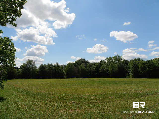 29320 County Road 32 Elberta, AL 36530 - Photo 32 of 41 Pasture