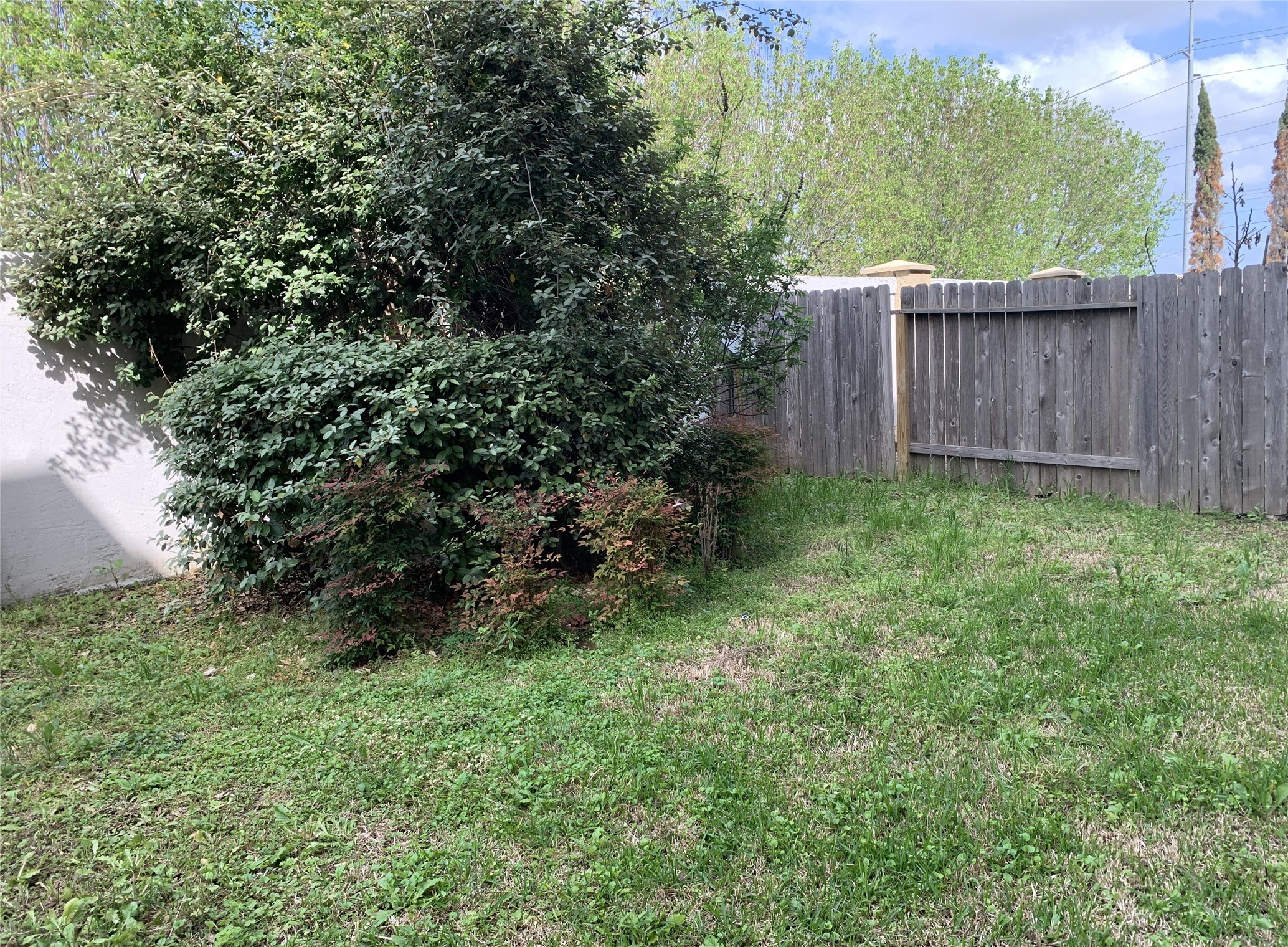 3021 Kisling Street Houston, TX 77021 - Photo 25 of 27 a view of a lush green yard with large trees