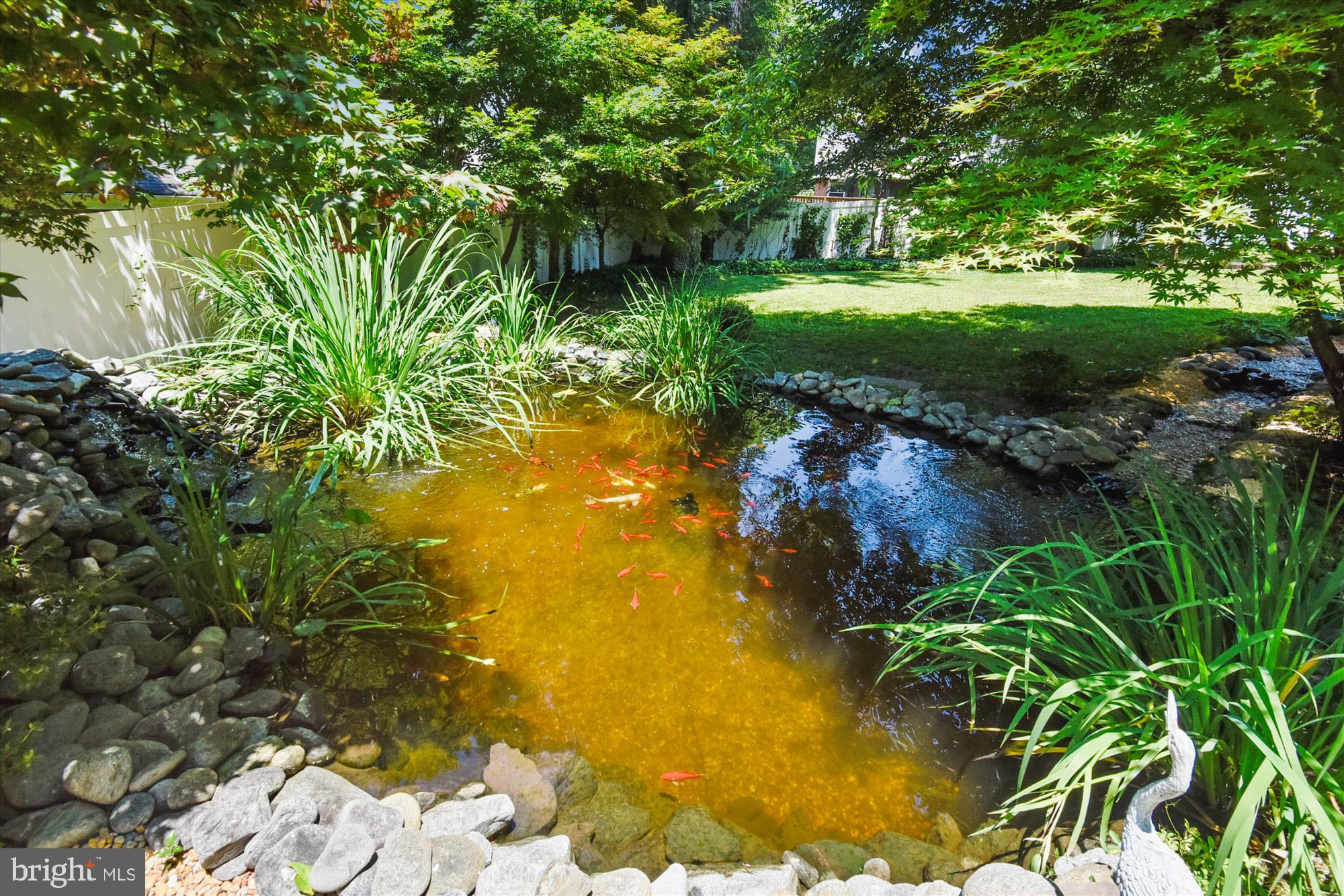 9520 Riley Road Silver Spring, MD 20910 - Photo 65 of 86 Beautiful Pond with Waterfall & Running Stream