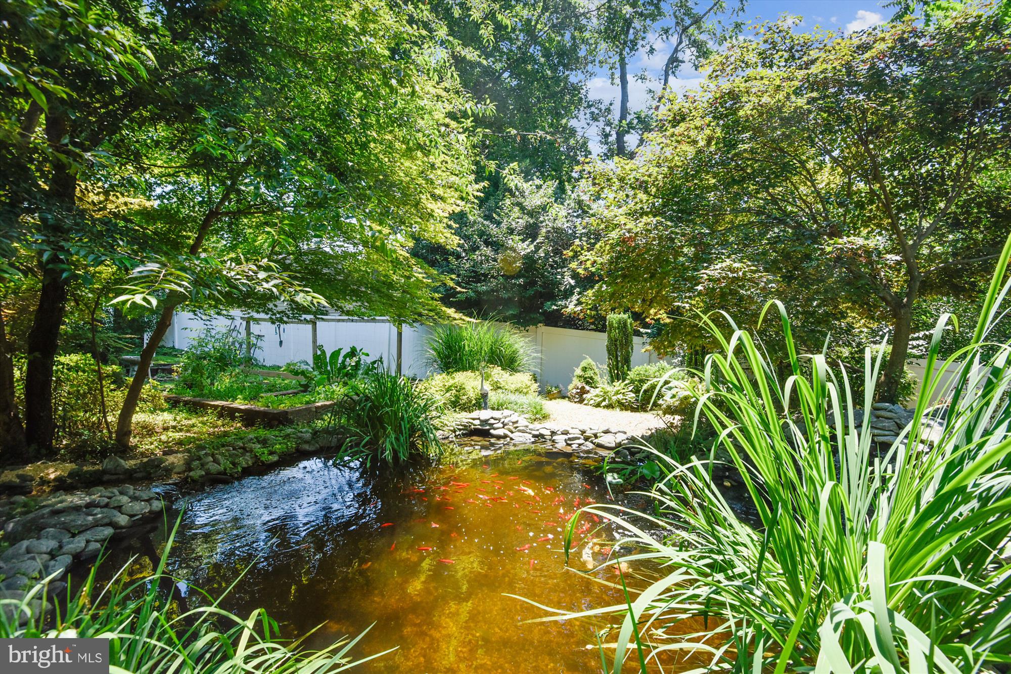 9520 Riley Road Silver Spring, MD 20910 - Photo 67 of 86 Beautiful Pond with Waterfall & Running Stream