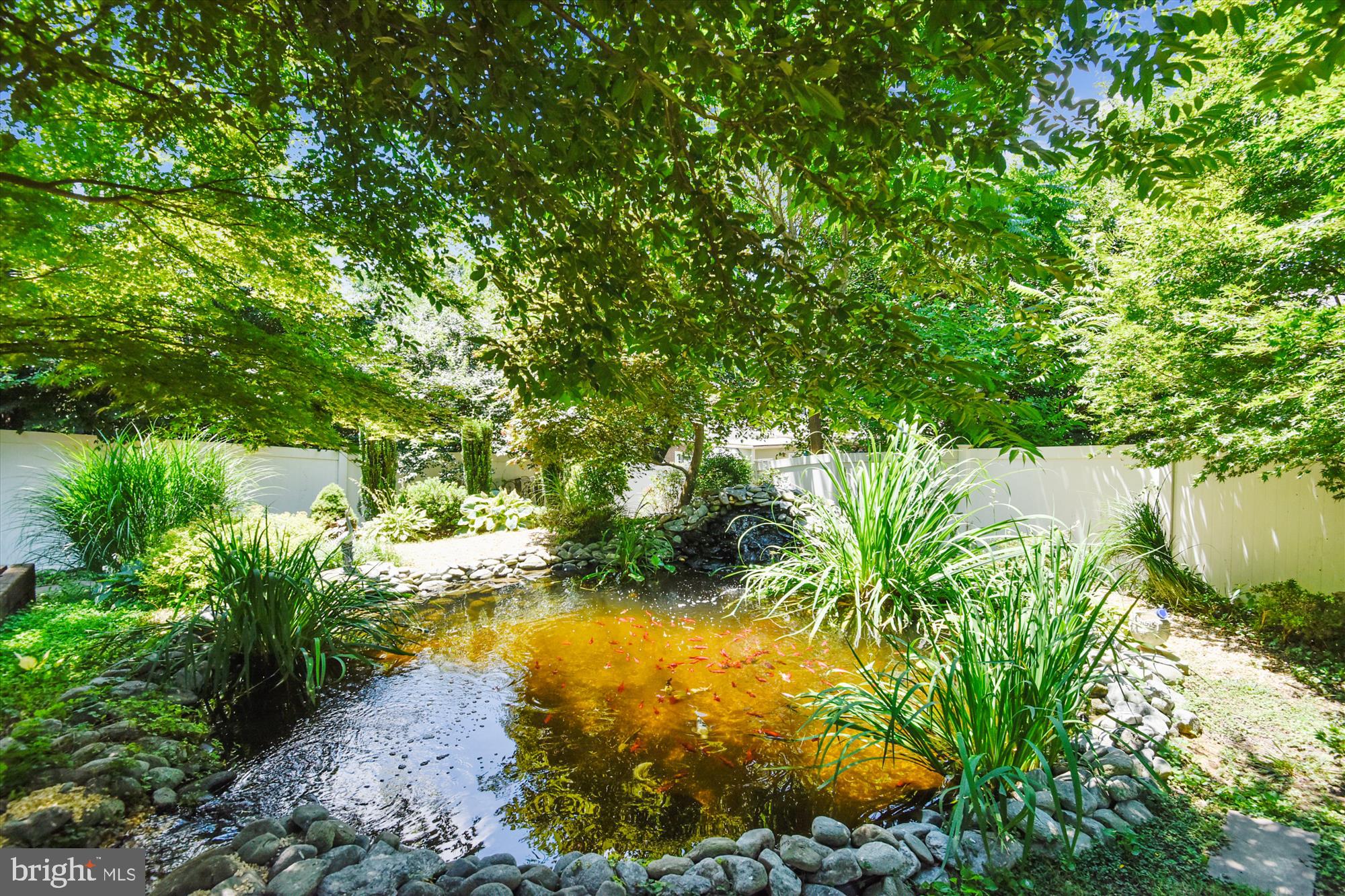 9520 Riley Road Silver Spring, MD 20910 - Photo 68 of 86 Beautiful Pond with Waterfall & Running Stream