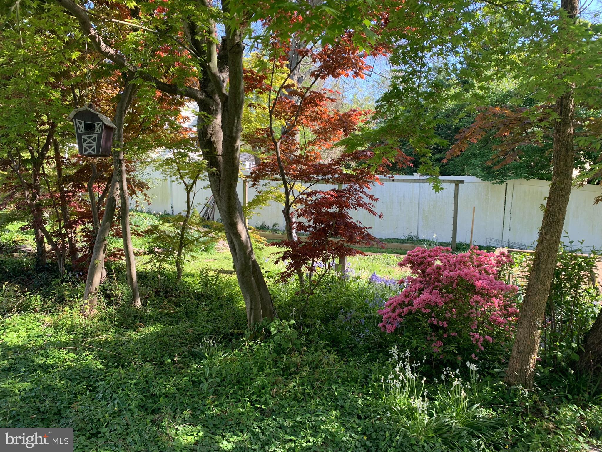 9520 Riley Road Silver Spring, MD 20910 - Photo 75 of 86