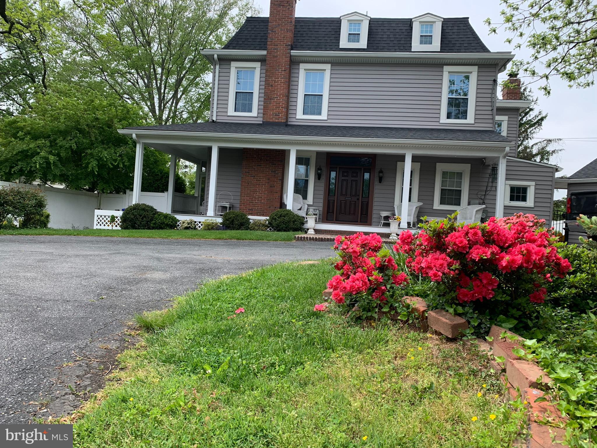 9520 Riley Road Silver Spring, MD 20910 - Photo 76 of 86 Spring Flowers in Bloom