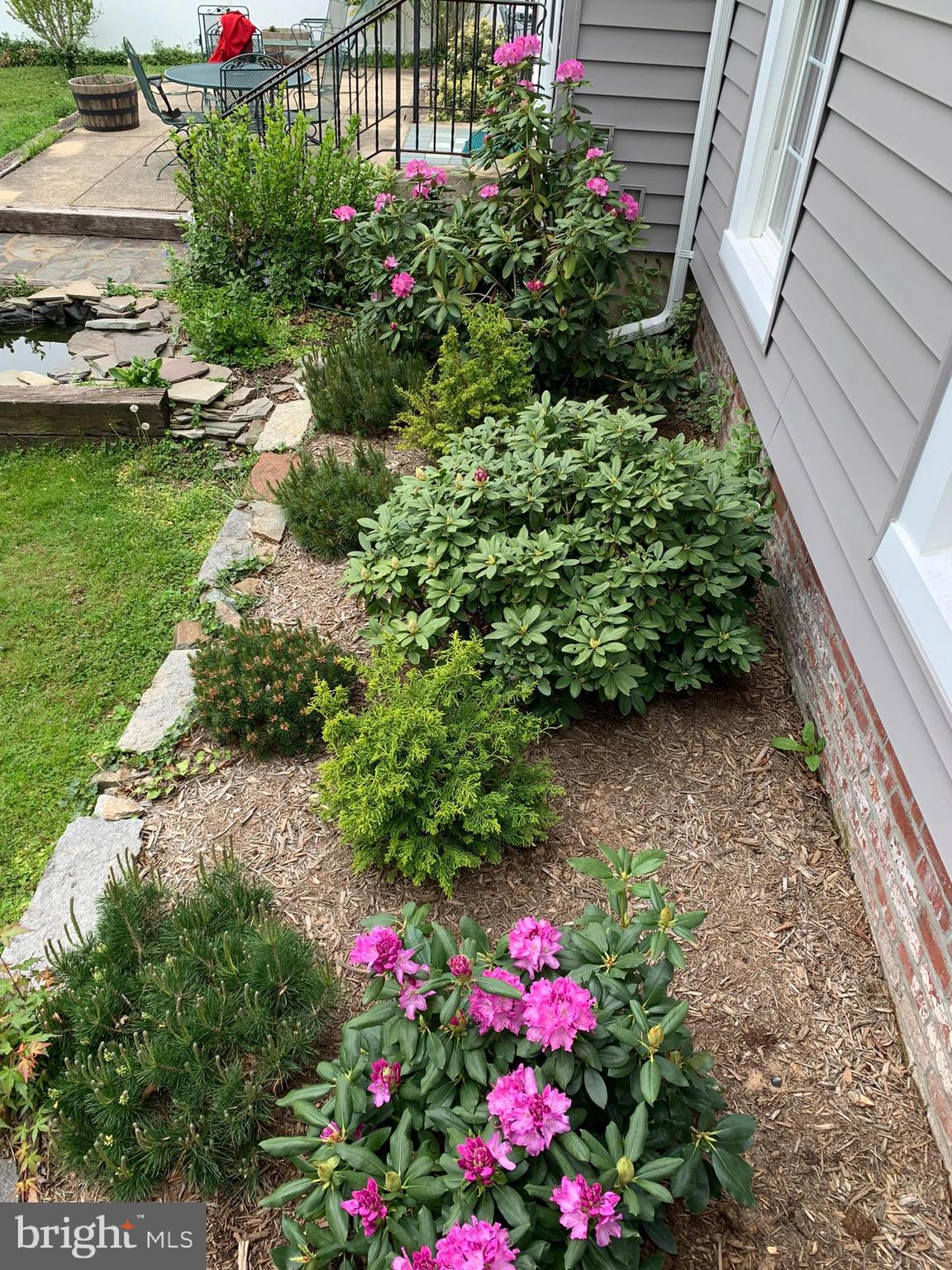 9520 Riley Road Silver Spring, MD 20910 - Photo 77 of 86 Spring Flowers in Bloom