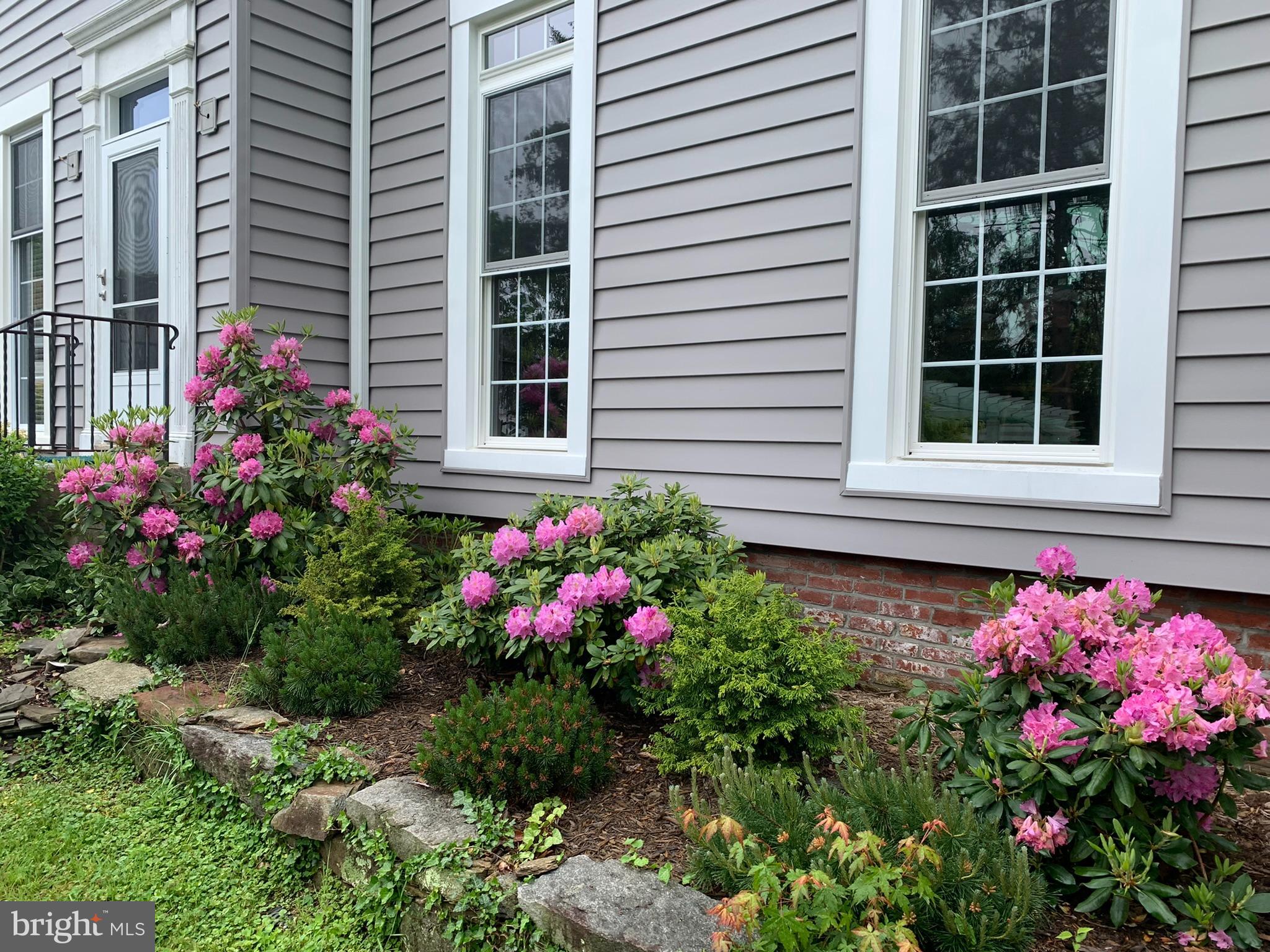 9520 Riley Road Silver Spring, MD 20910 - Photo 80 of 86 Spring Flowers in Bloom