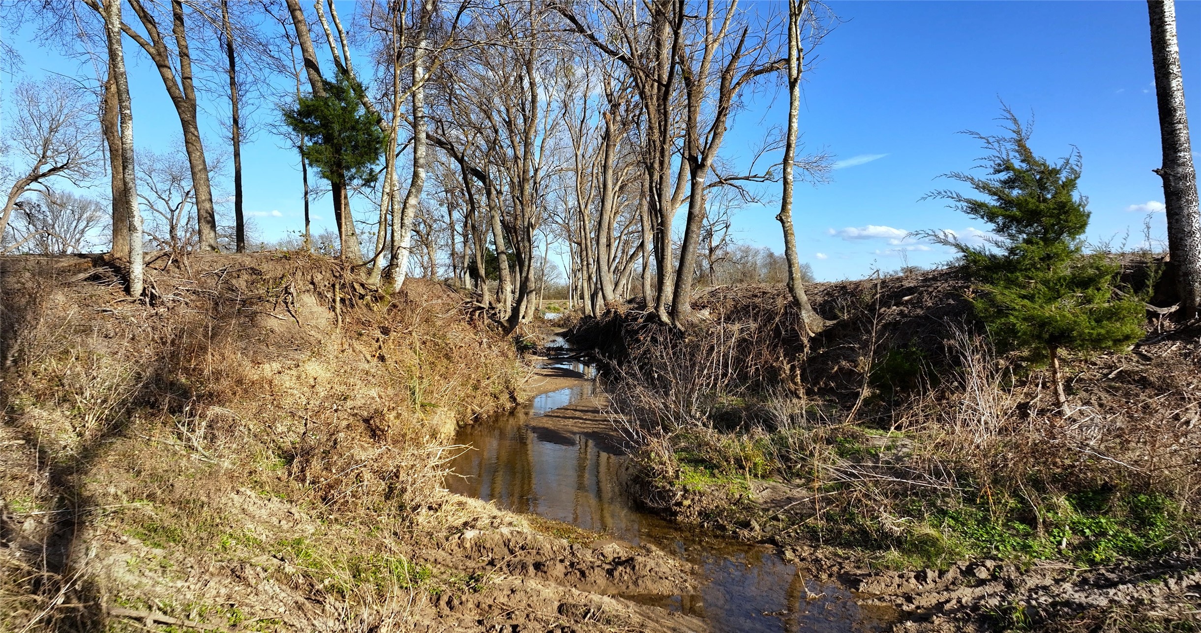 3283-40 Fm 2562 Road Anderson, TX 77830 - Photo 17 of 23 a view of a yard with plants