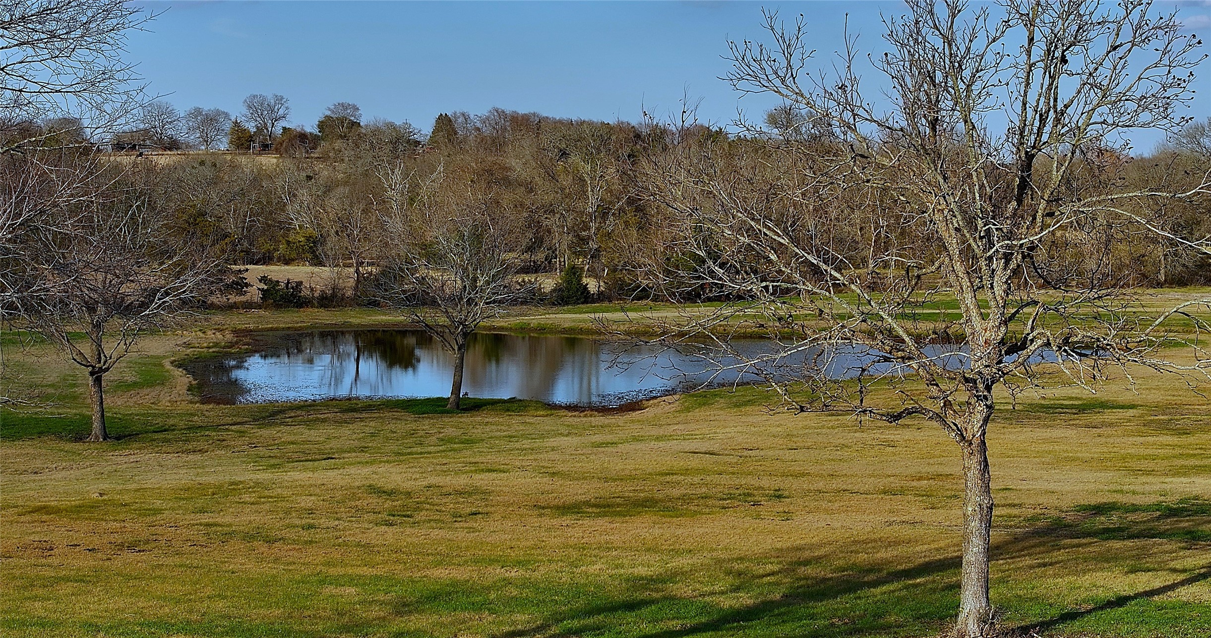 3283-40 Fm 2562 Road Anderson, TX 77830 - Photo 2 of 23 a view of ocean view