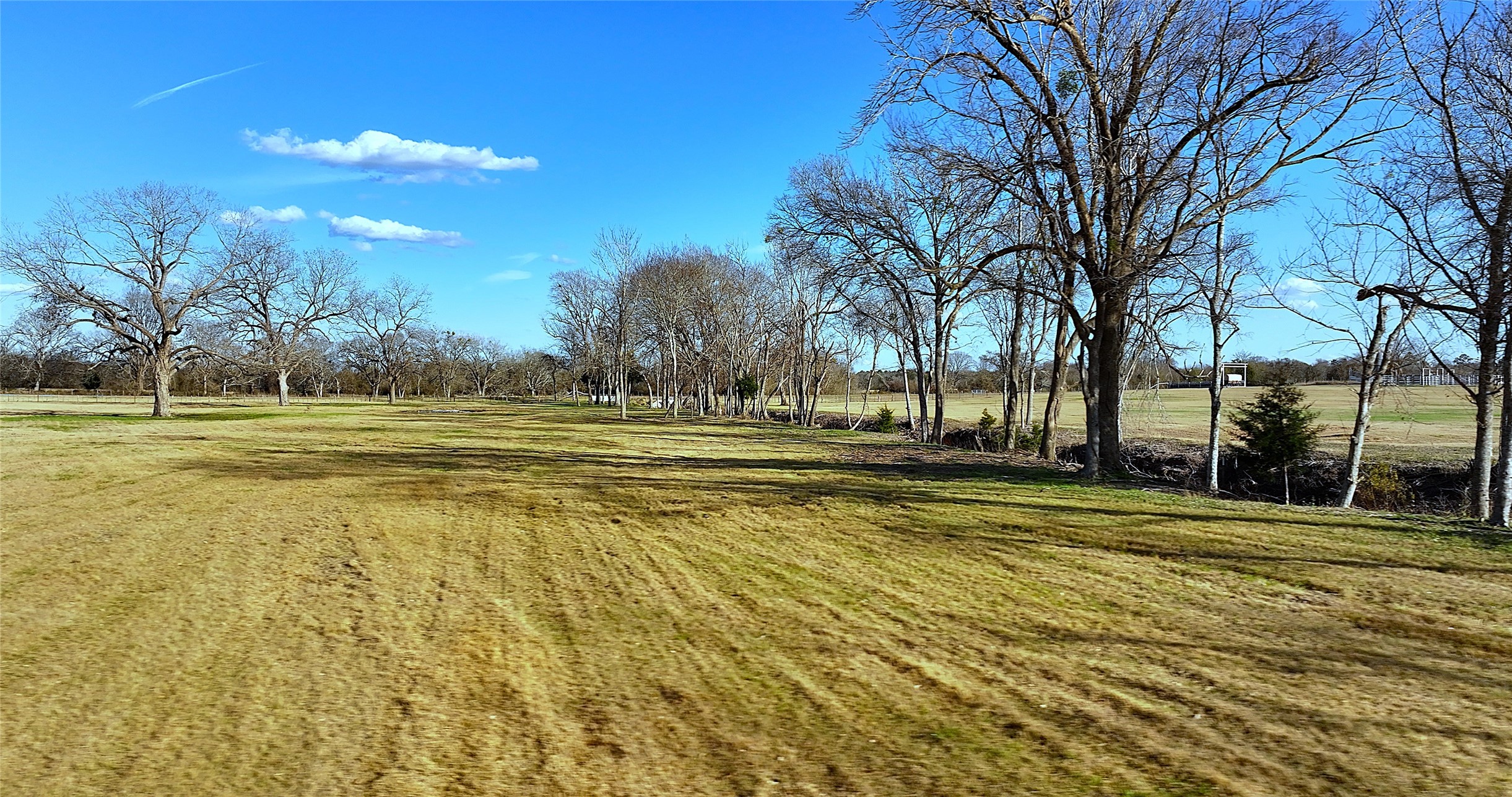 3283-40 Fm 2562 Road Anderson, TX 77830 - Photo 5 of 23 a view of a yard with palm trees