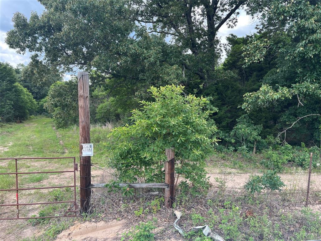 4112 VZ County Road Canton, TX 75103 - Photo 5 of 21