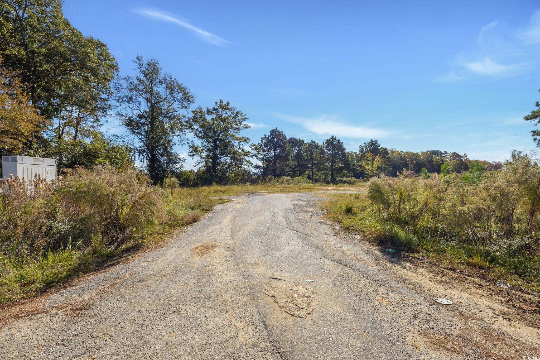 Camp Swamp Road Longs, SC 29568 - Photo 12 of 19