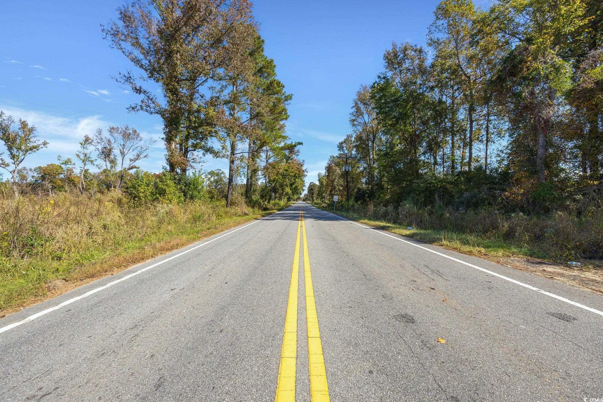 Camp Swamp Road Longs, SC 29568 - Photo 13 of 19