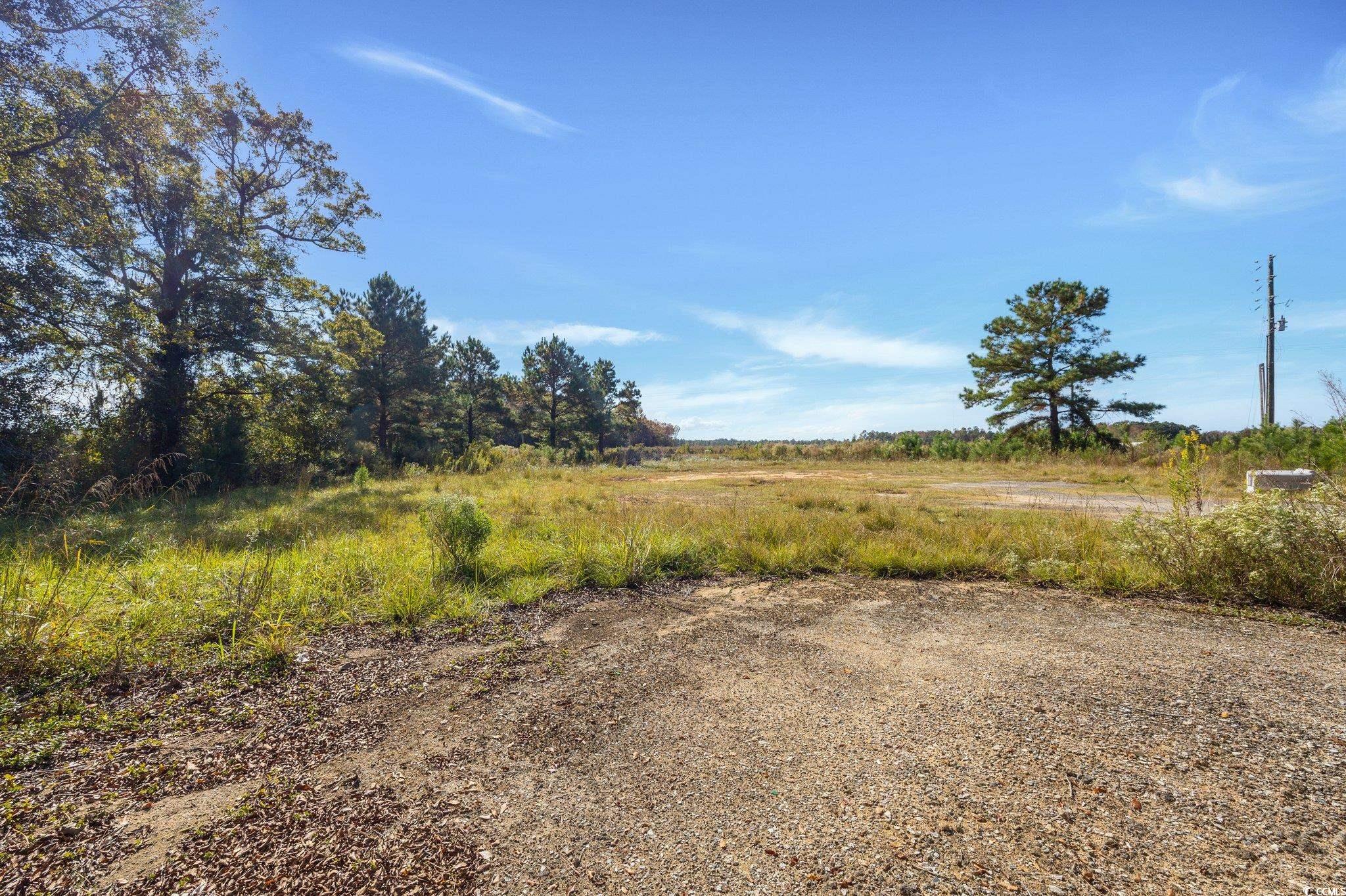 Camp Swamp Road Longs, SC 29568 - Photo 14 of 19