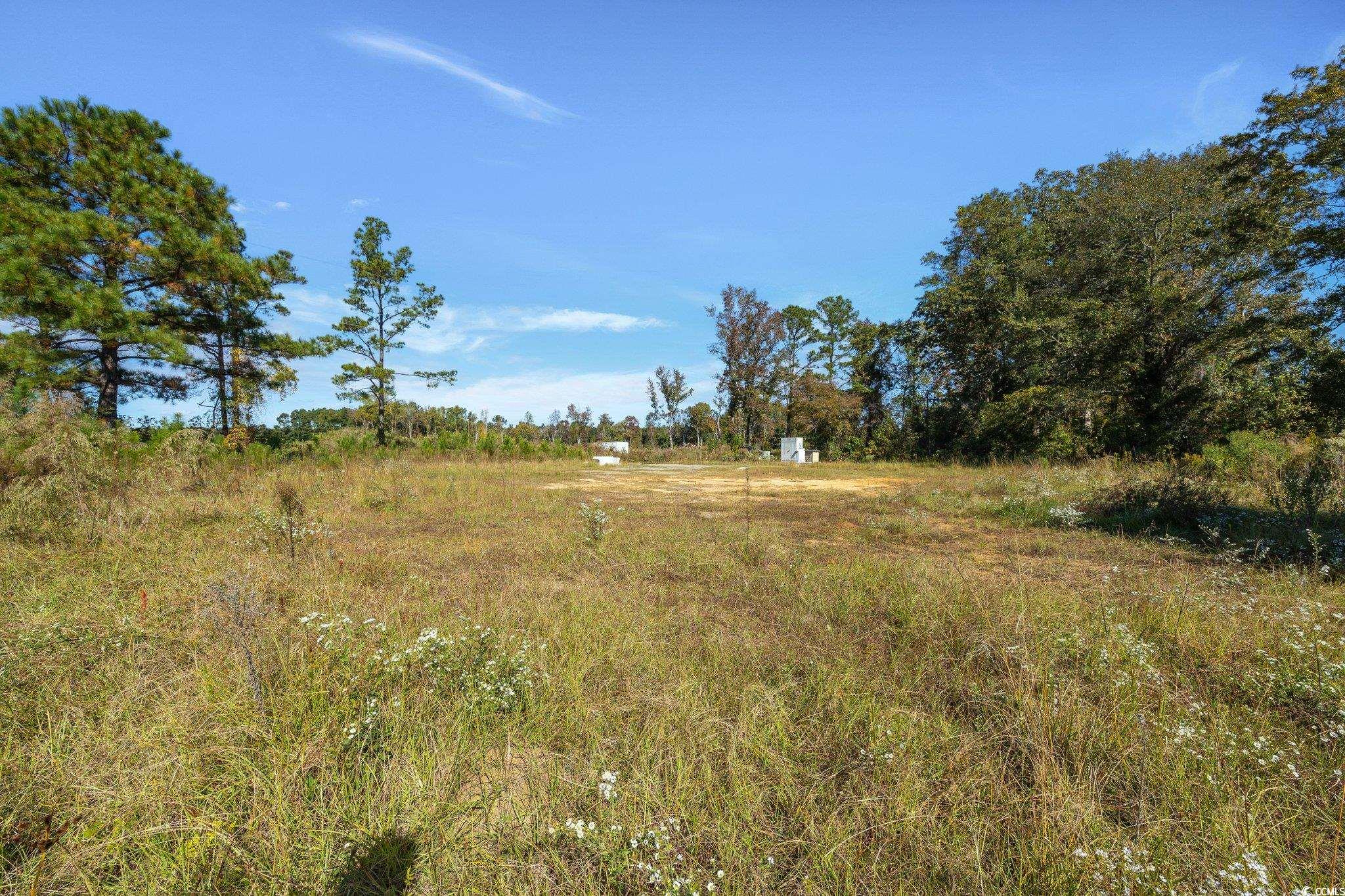 Camp Swamp Road Longs, SC 29568 - Photo 15 of 19