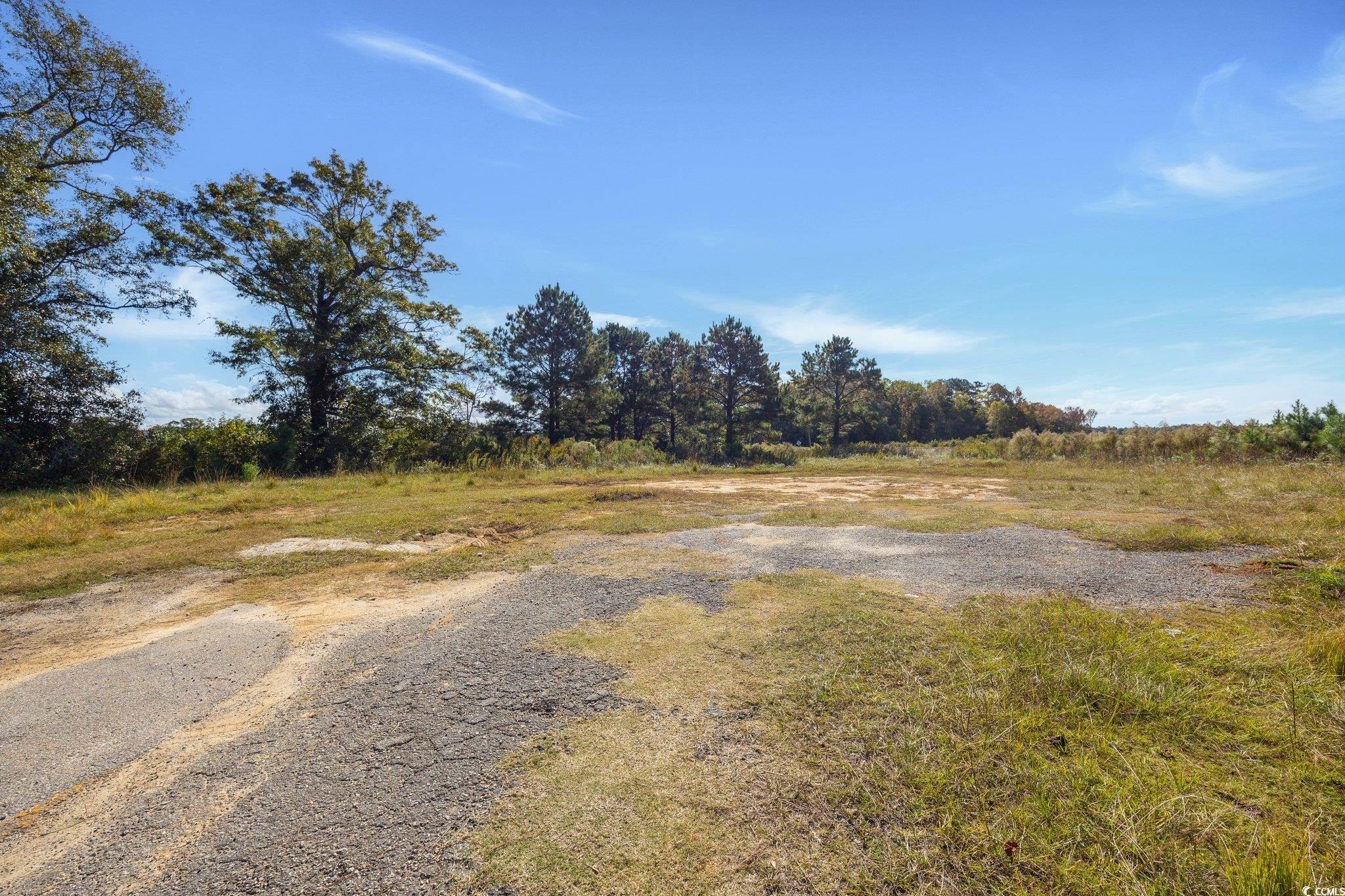 Camp Swamp Road Longs, SC 29568 - Photo 16 of 19