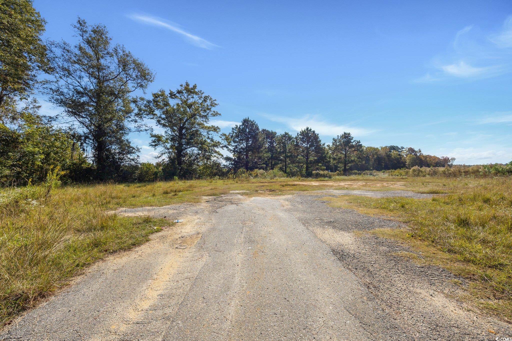 Camp Swamp Road Longs, SC 29568 - Photo 17 of 19