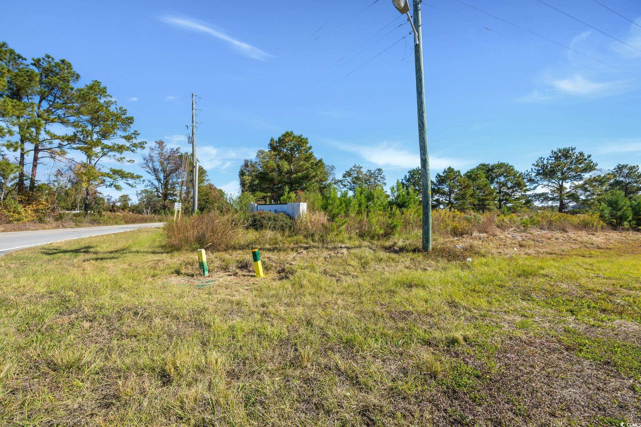 Camp Swamp Road Longs, SC 29568 - Photo 18 of 19
