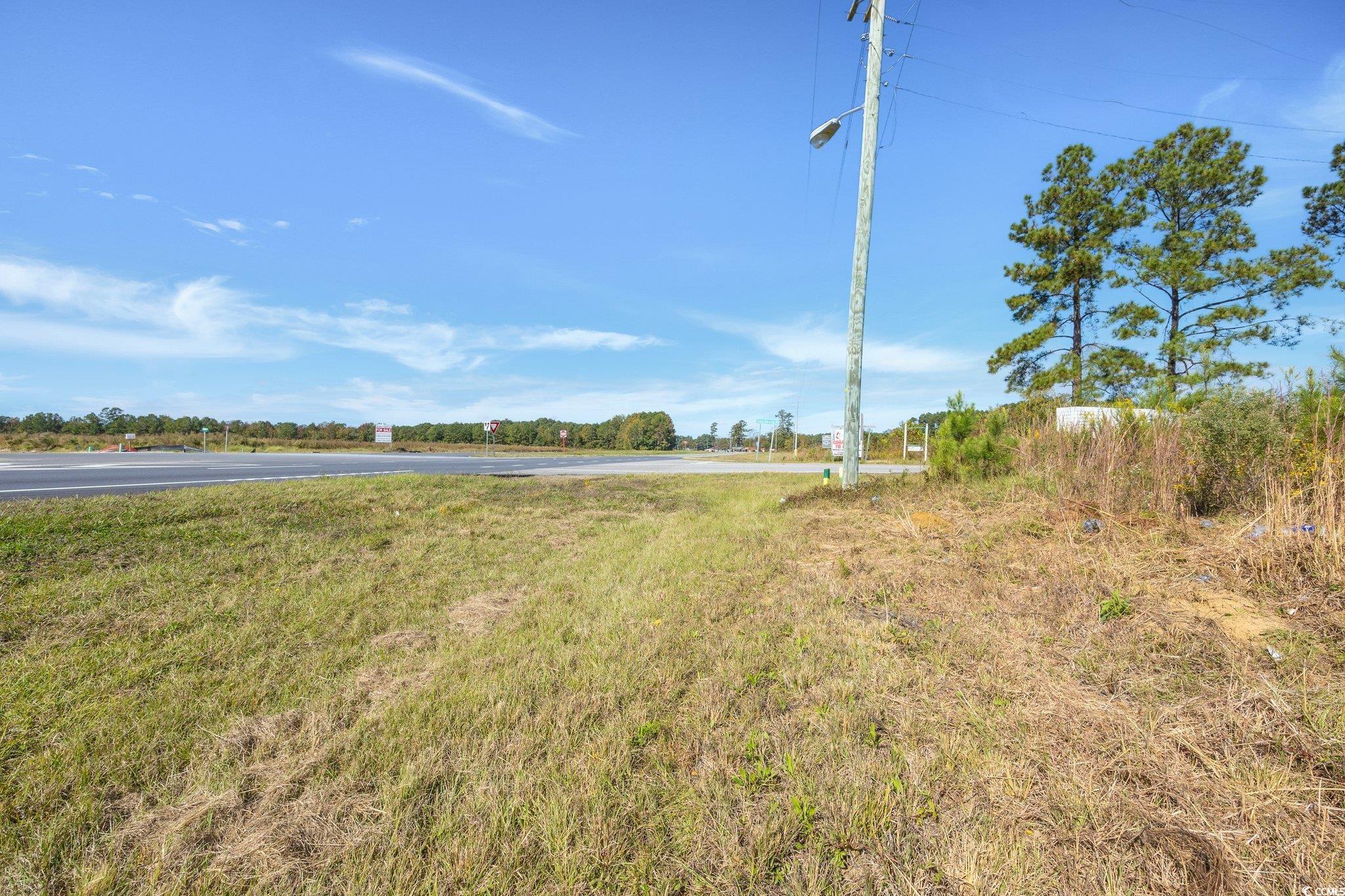 Camp Swamp Road Longs, SC 29568 - Photo 19 of 19